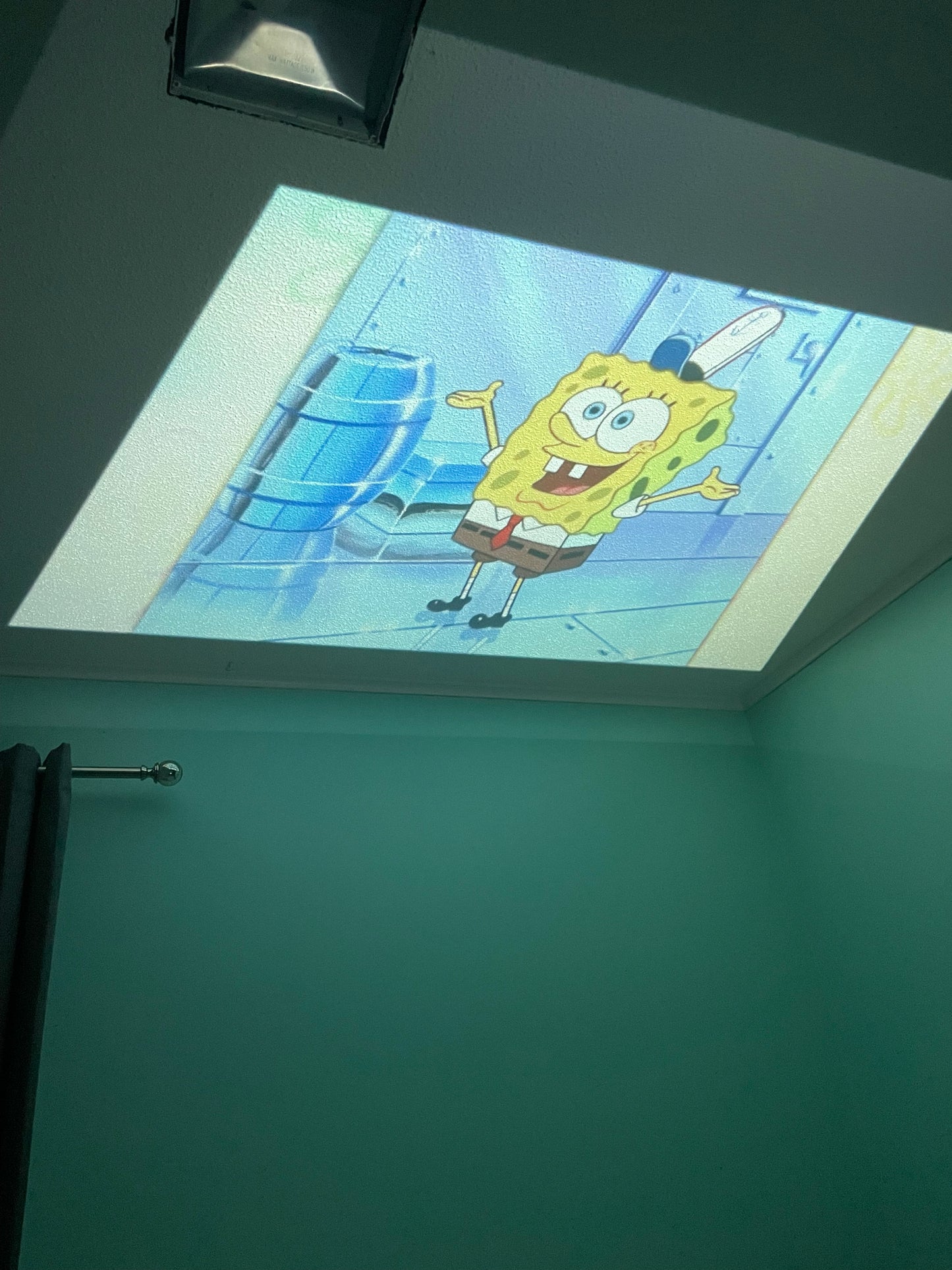 Portaject™ Projector